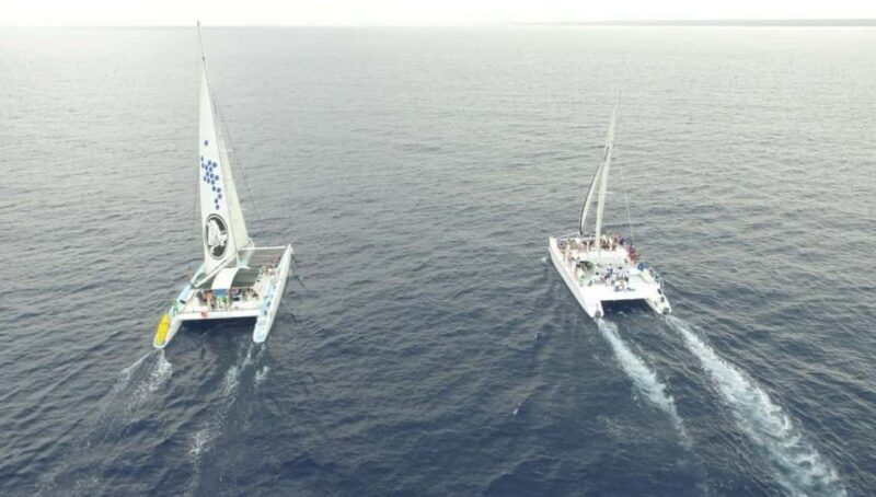 Saona Island all day with lunch and open bar departing from Punta Cana - Final Thoughts