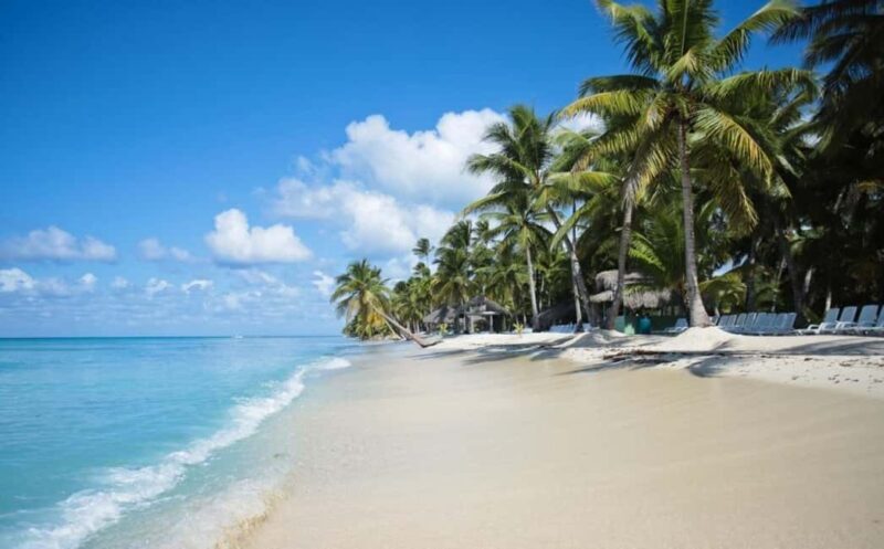 Saona Island all day with lunch and open bar departing from Punta Cana - To sum it up