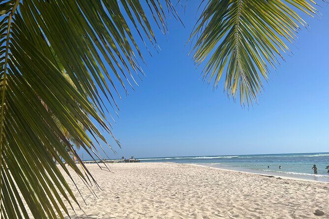 Saona Island and Chavon River Tour with Lunch and Drinks - The Sum Up