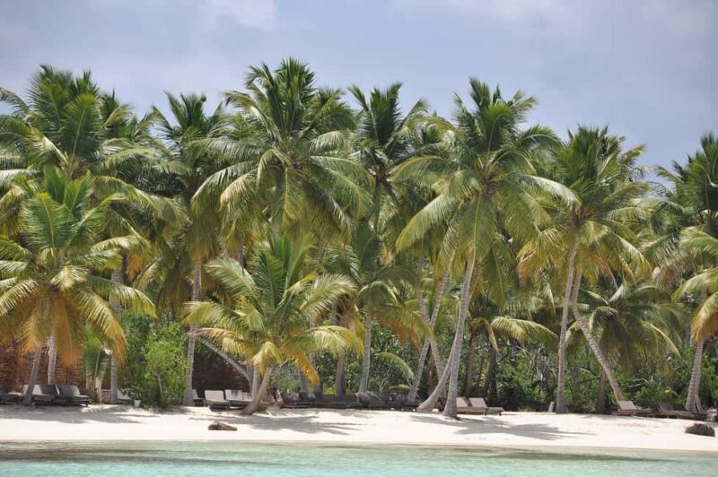 Saona Island and natural Pool Punta Cana - FAQs About the Saona Island and Natural Pool Tour