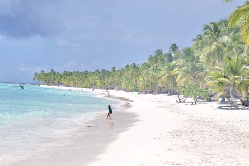 Saona Island and natural Pool Punta Cana - In The Sum Up