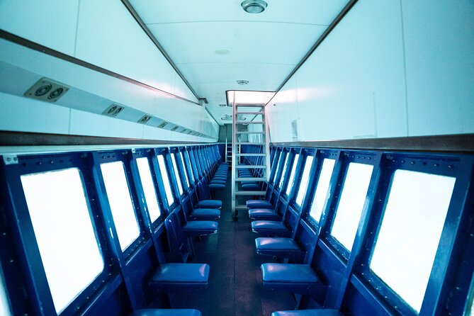 Saona Island at Yellow Submarine Exclusive Tour From Punta Cana - Customer Experience