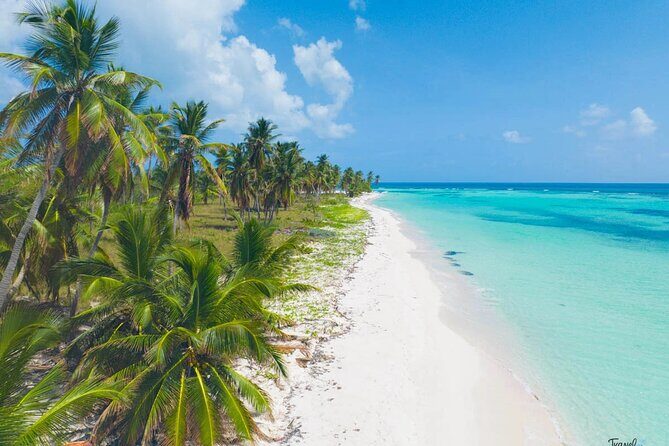 Saona Island Caramaran Adventure from Punta Cana With Lunch - Who Should Consider This Tour?