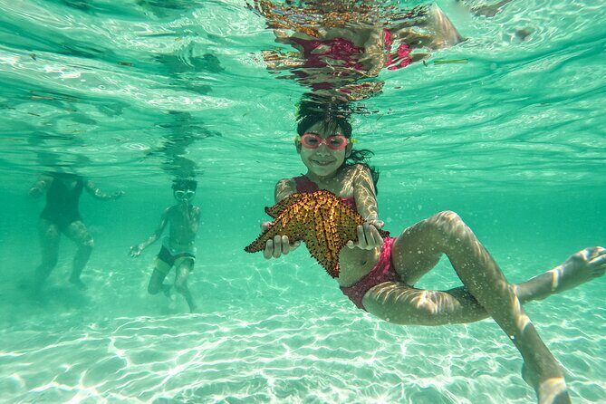 Saona Island Catamaran Cruise with Natural Pool, Lunch & Open Bar - An In-Depth Look: What to Expect from the Saona Island Catamaran Cruise