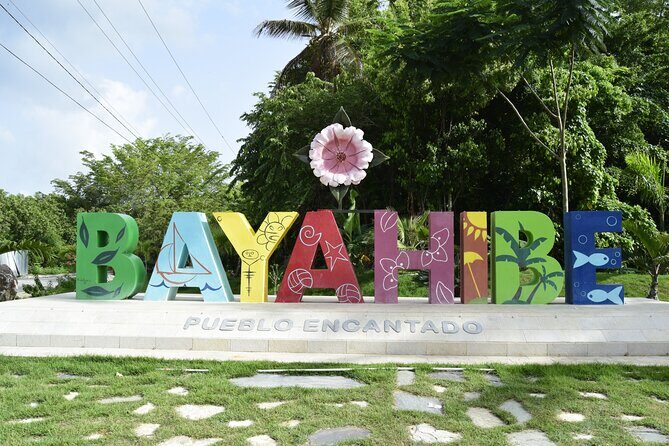 Saona Island Catamaran Tour Buffet & Open Bar from Punta Cana - Transportation & Group Size