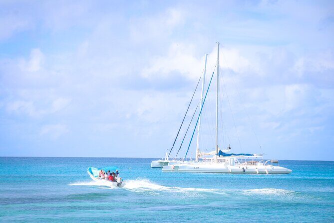 Saona Island Catamaran Tour Buffet & Open Bar from Punta Cana - Practical Tips & Final Considerations