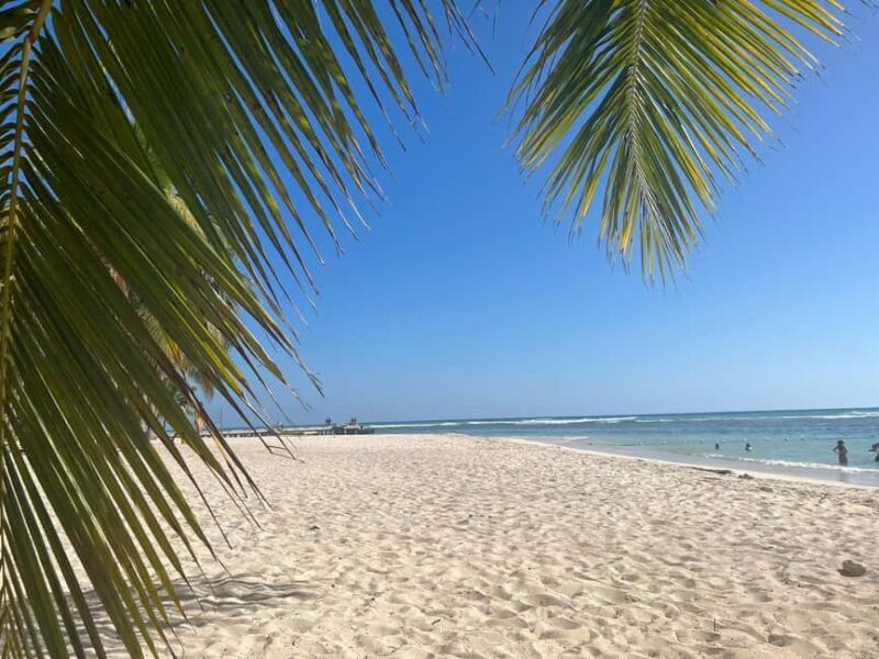 Saona Island & Chavon River Tour with Lunch & Drinks - Who Would Love This Tour?