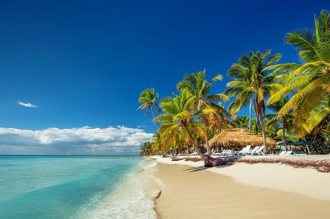 Saona Island Day Tour - Lowest Price Guarantee