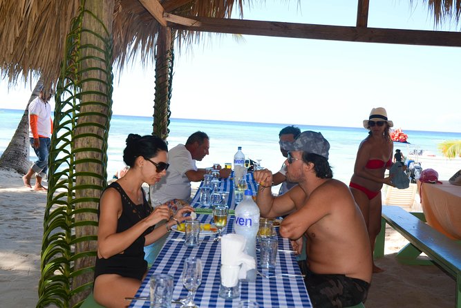 Saona Island Day Tour by Conexion Viajes - Select Date and Travelers