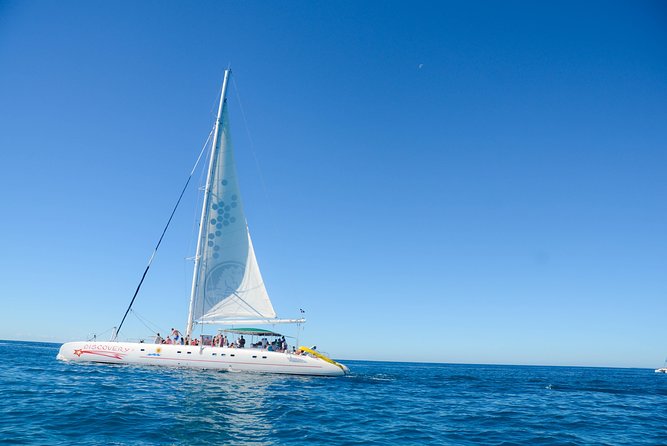 Saona Island Day Tour by Conexion Viajes - Check Availability