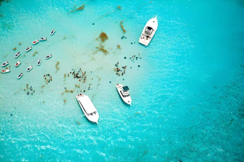 Saona Island Day Tour from Punta Cana with Lunch & Open Bar - Activities & Relaxation on Saona Island  