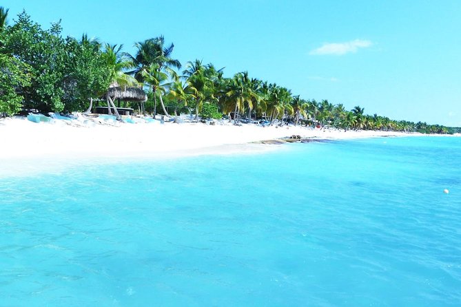 Saona Island Day Trip and Snorkeling From Punta Cana - Customer Reviews