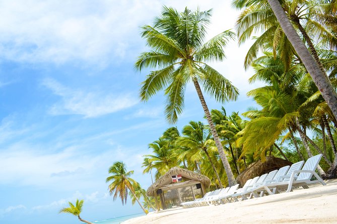 Saona Island Day Trip - Reviews and Ratings