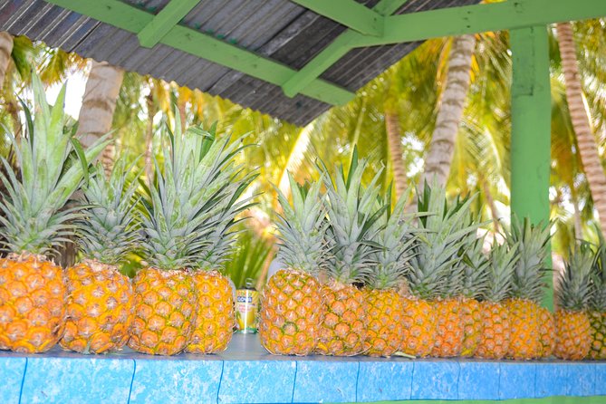 Saona Island Day Trip - Transportation and Pickup