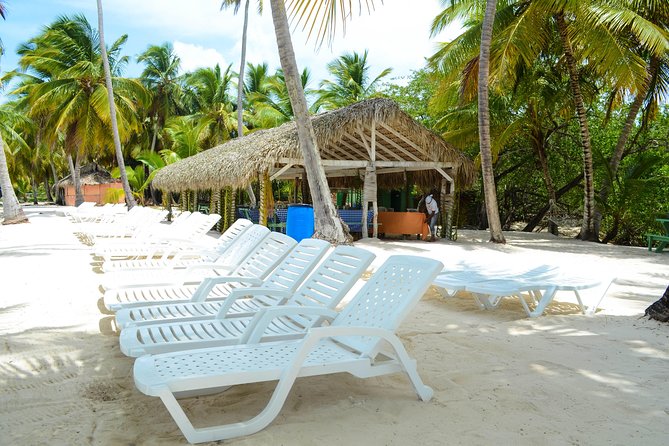 Saona Island Day Trip - Safety and Guidelines