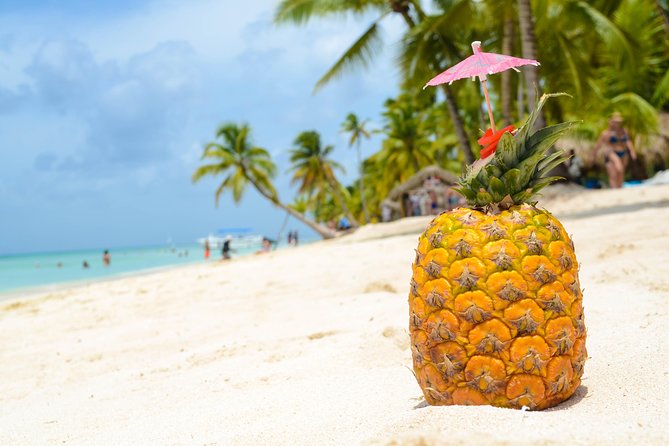 Saona Island Day Trip - Tips for a Memorable Experience