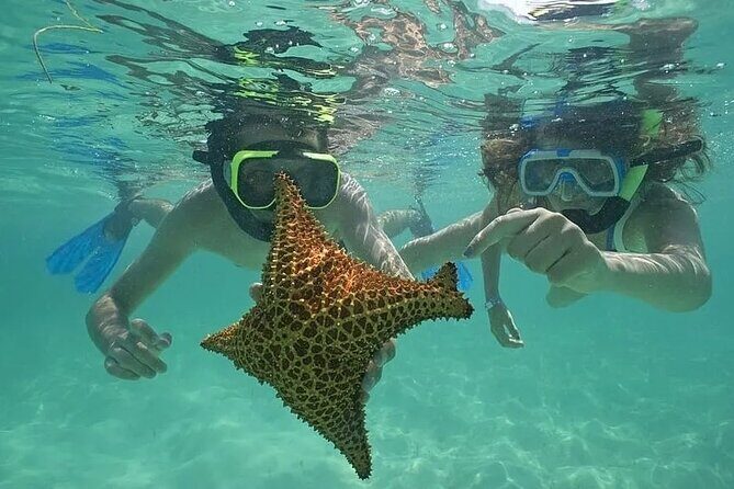 Saona Island Day Trip From Punta Cana with Lunch and Open Bar - An Honest Look at the Saona Island Day Trip from Punta Cana