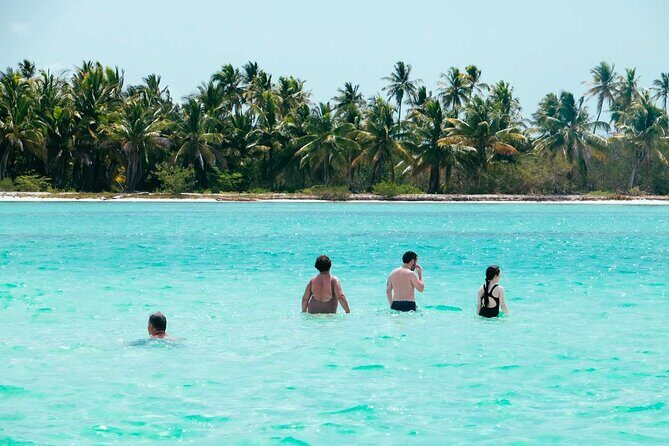 Saona Island Day Trip from Punta Cana with Lunch and Pickup - The Itinerary in Detail