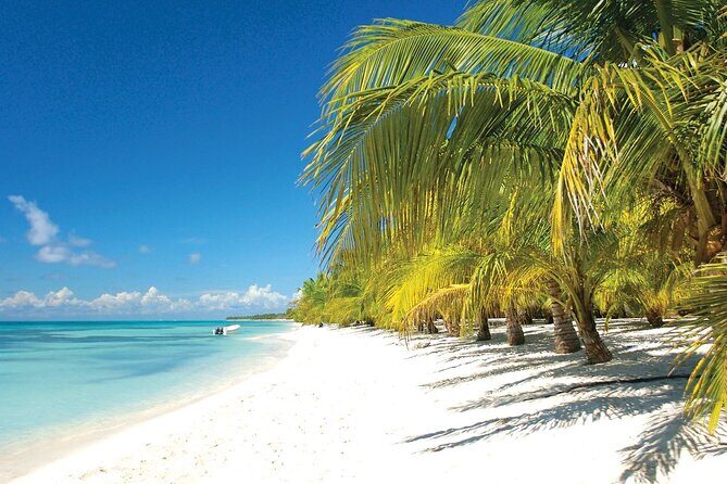 Saona Island Day Trip from Punta Cana with Lunch and Pickup - FAQs