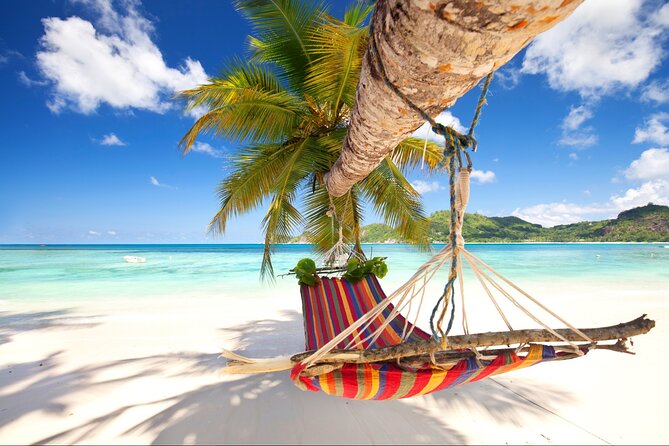 Saona Island Day Trip From Punta Cana With Pick up and Open Bar - Itinerary Details