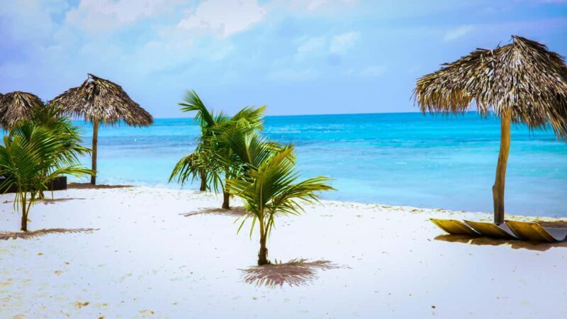 Saona Island Day Trip + Lunch + Open Bar from Punta Cana - Scenic Catamaran Ride and Return Journey