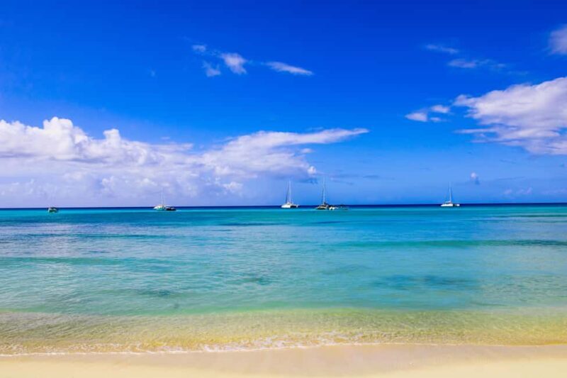Saona Island Day Trip + Lunch + Open Bar from Punta Cana - Who Would Love This Tour?