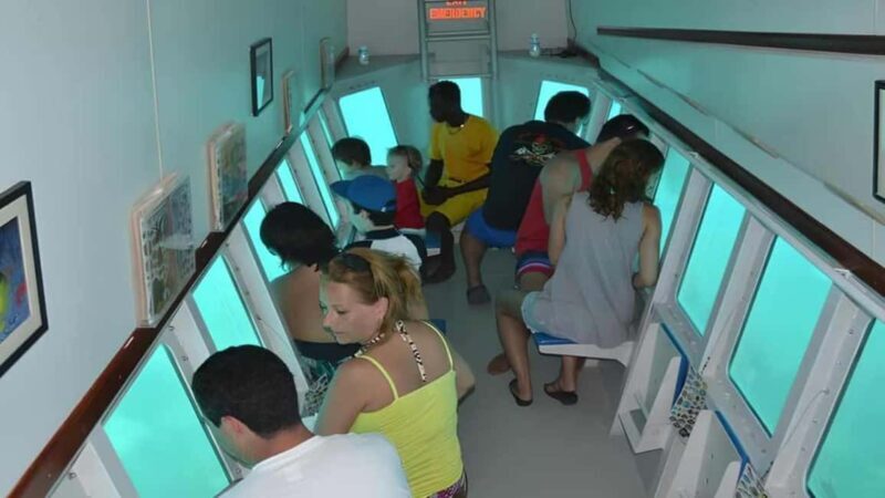 Saona Island Day Trip with Lunch and Open Bar at Punta Cana - Good To Know