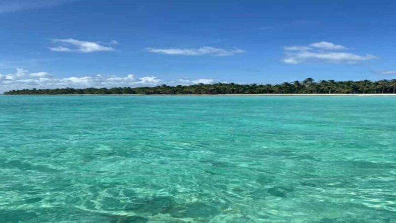 Saona Island Day Trip with Lunch and Open Bar at Punta Cana - An In-Depth Look at the Saona Island Trip
