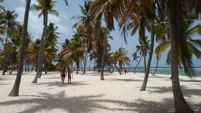 Saona Island Delights Tour From Punta Cana / Bavaro - Restrictions