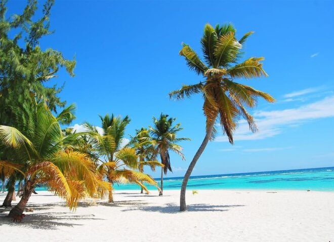 Saona Island Delights Tour From Punta Cana / Bavaro - Typical Dominican Buffet Lunch
