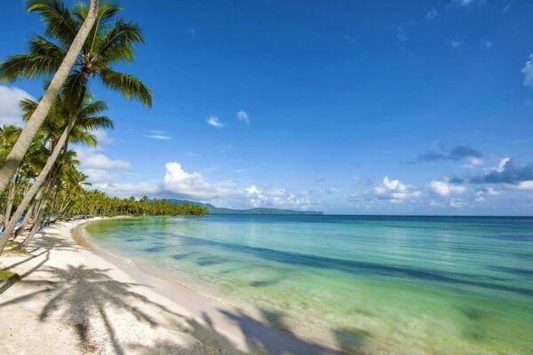 Saona Island Delights Tour From Punta Cana / Bavaro - Free Time at Saona Island