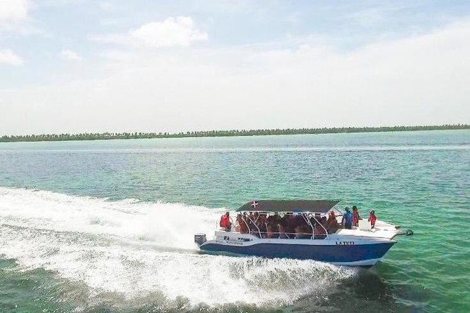 Saona Island Discovery - Official National Tour Guide