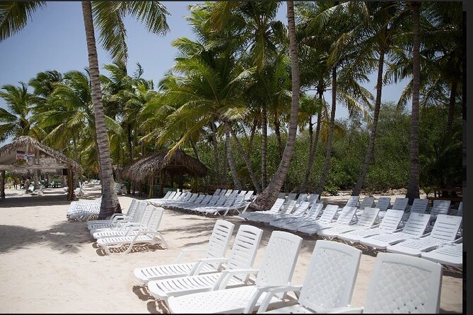 Saona Island Discovery - Reviews and Ratings