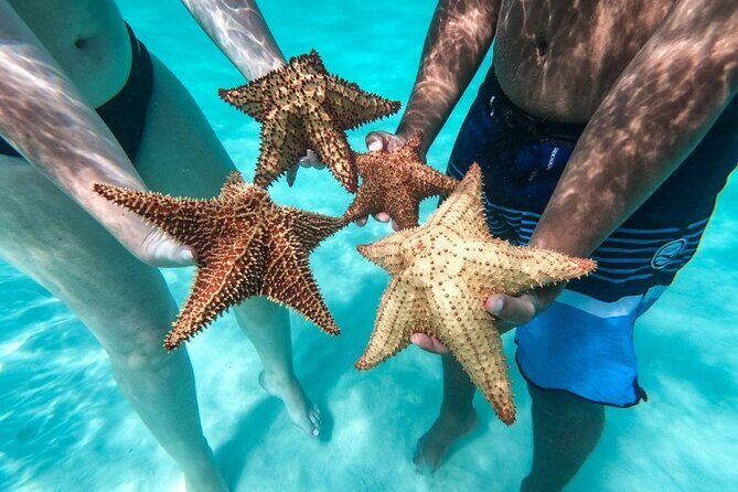 Saona Island Escape Caribbean Paradise Awaits - Final Thoughts