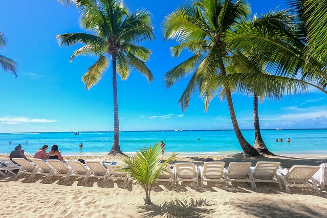 Saona Island Excursion: Caribbean Paradise From Punta Cana - Logistics and Pickup Details