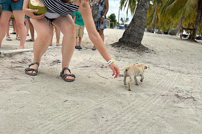 Saona Island for AIDA Passengers from La Romana Port - FAQ