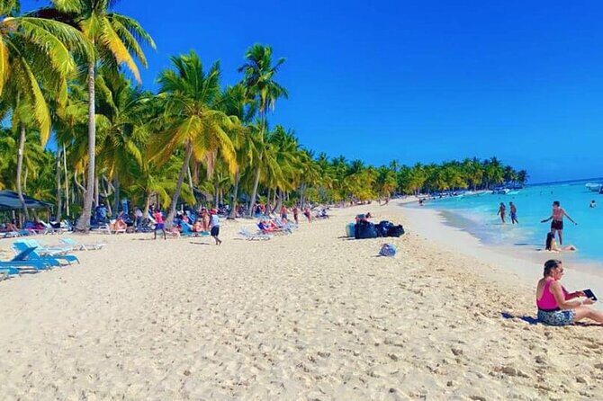 Saona Island from Punta Cana - Exploring Saona Island from Punta Cana: An Honest Review