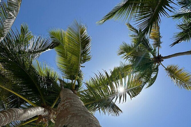 Saona Island from Punta Cana - FAQ