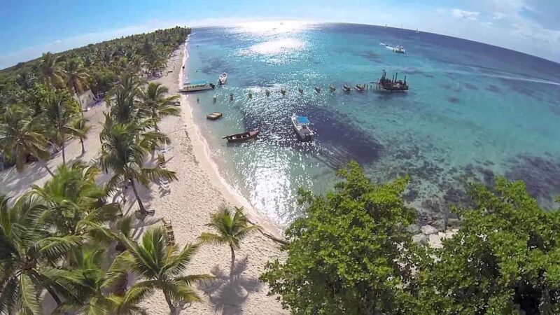 Saona Island from Punta Cana Day Trip with Open Bar - Good To Know
