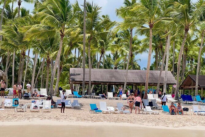 Saona Island from Santo Domingo - Authentic Traveler Insights