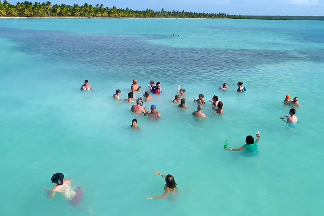 Saona Island From Santo Domingo - Day Trip Details and Itinerary