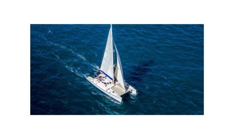 Saona Island From Santo Domingo With Catamaran, Food & Drink - Good To Know