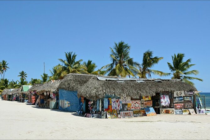 Saona Island Full Day 6 in 1 Tour From Punta Cana - Itinerary Details