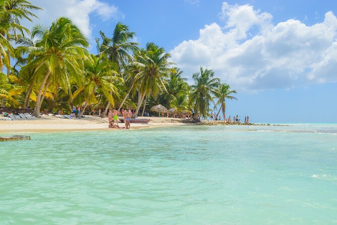 Saona Island Full-Day All-Inclusive Tour From Santo Domingo - Positive and Negative Aspects of the Tour