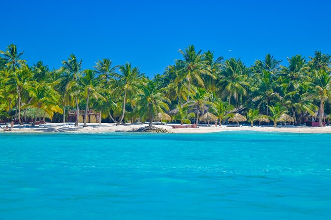 Saona Island Full-Day All-Inclusive Tour From Santo Domingo - The Sum Up