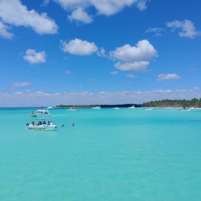 Saona Island Full-Day Cruise, Natural Pool and Lunch - The Full Experience: A Deep Dive into the Tour