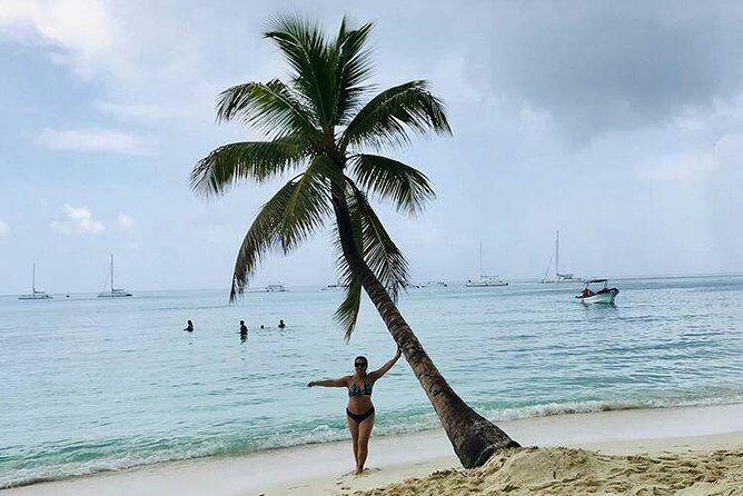 Saona Island Full Day From Punta Cana - What’s Included and What to Expect