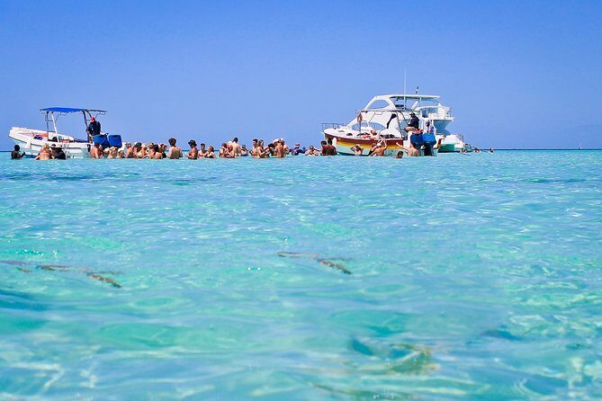 Saona Island Full Day From Punta Cana - The Drawbacks and Considerations