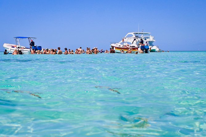 Saona Island Full Day From Punta Cana - Pricing and Booking Information