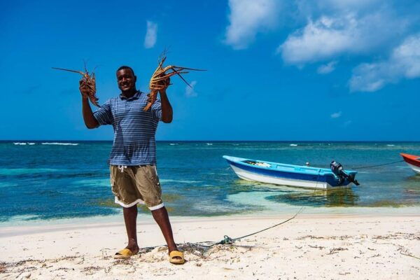 Saona Island - Full Day Open Bar, Lunch and Round Trip! - Frequently Asked Questions